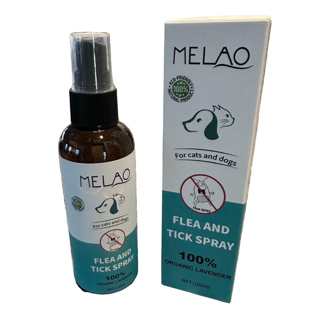 SPA Bundle