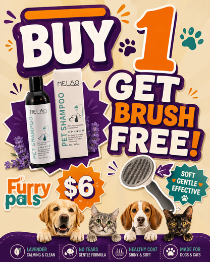 Shampoo Bundle
